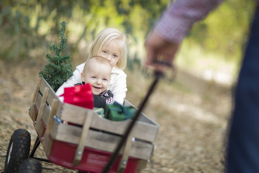 20 ideas for your baby's first christmas