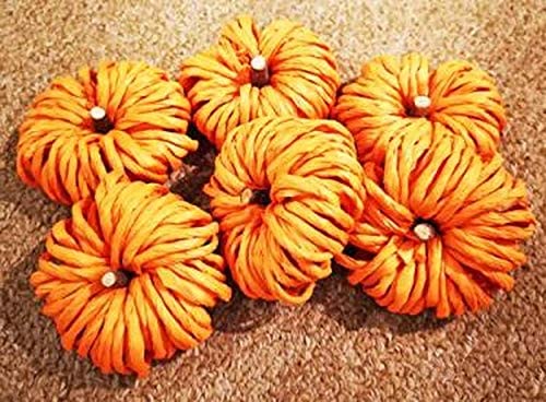 Cheap and Fun Way to Decorate Your Home for Fall