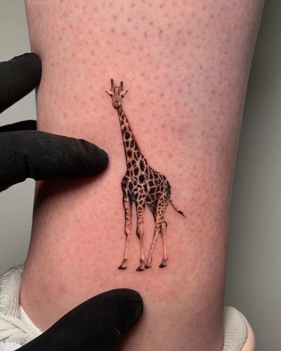 33 Small Animal Tattoos
