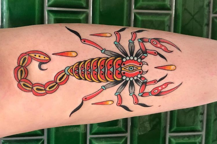 american traditional scorpion tattooTikTok Search