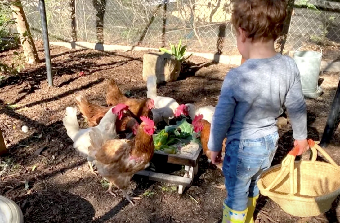 meghan markle posts sweet new photo of archie feeding his chickens