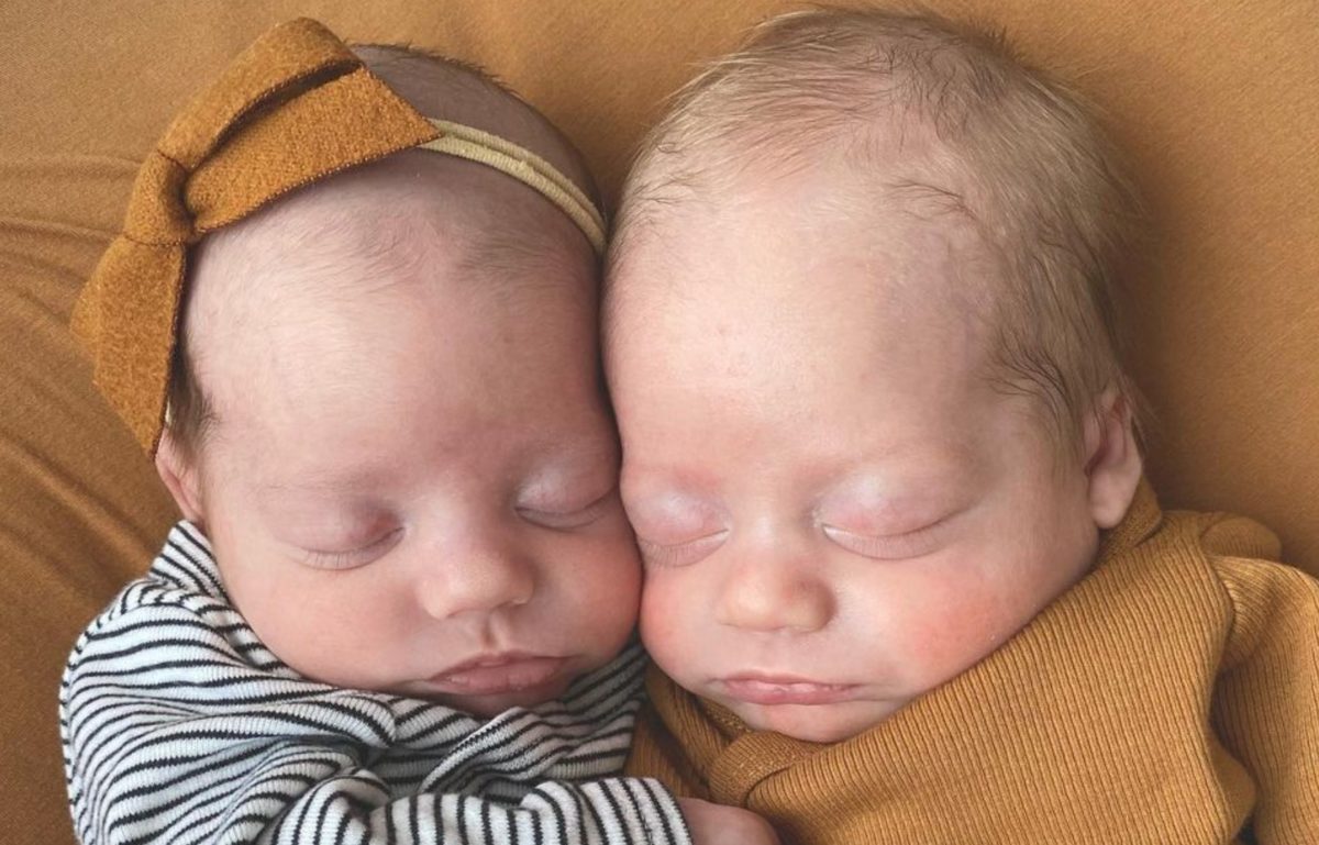 Michigan Couple Continues To Fight For Custody Of Their Biological Twins Who Were Born Via Surrogate