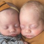 Michigan Couple Continues To Fight For Custody Of Their Biological Twins Who Were Born Via Surrogate