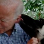 Joe And Jill Biden Adopt A German Shepherd Puppy Named 'Commander'