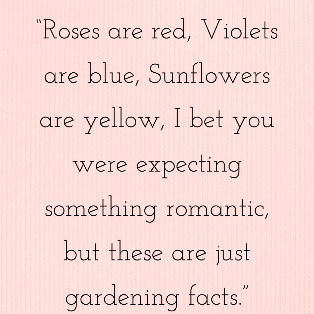 100 funny valentines day quotes that spread laughter and love