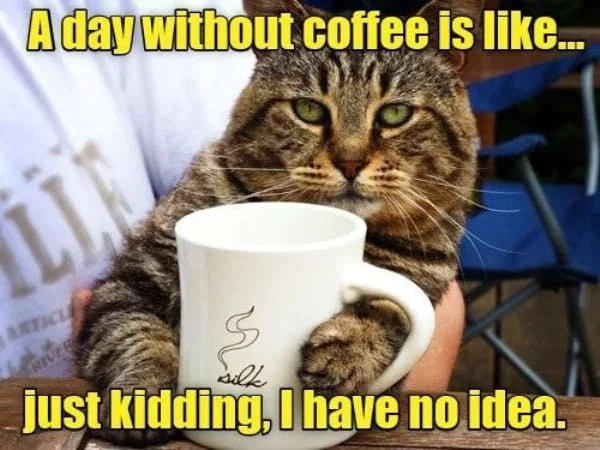 get your fix with these funny coffee memes