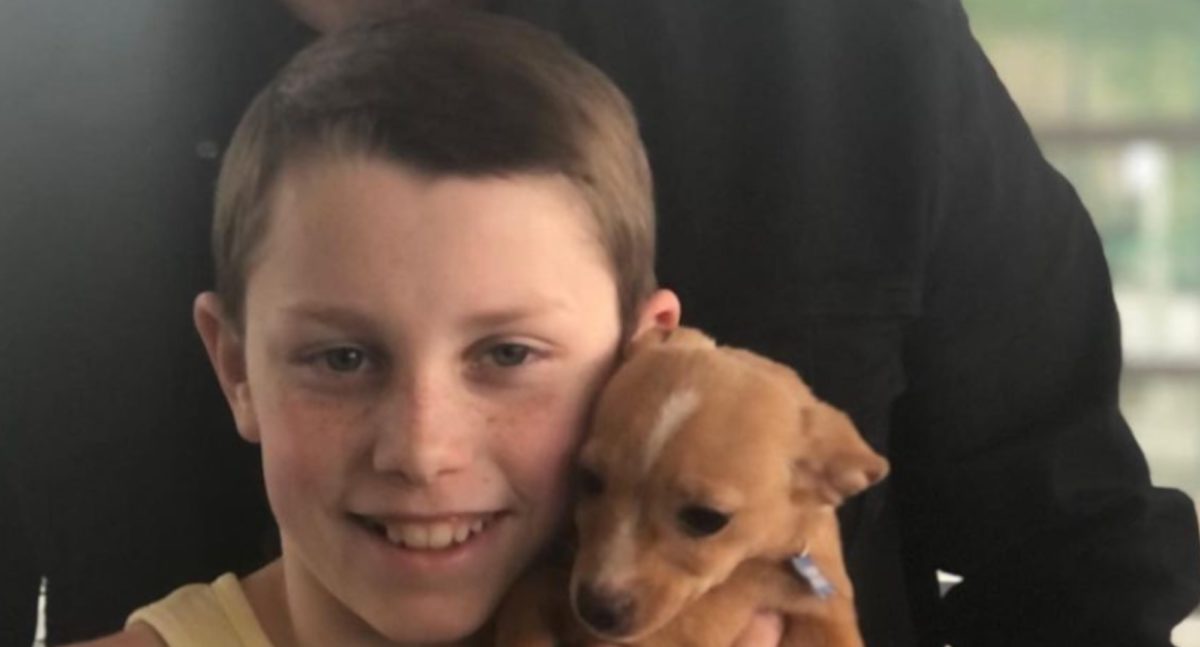 john travolta's 11-year-old son adopts puppy from betty white oscars tribute