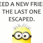 Funny Minion Memes for Every Situation