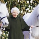 Queen Elizabeth Is 96! The Royal Family Celebrates By Sharing Rare Photos of Her Majesty!