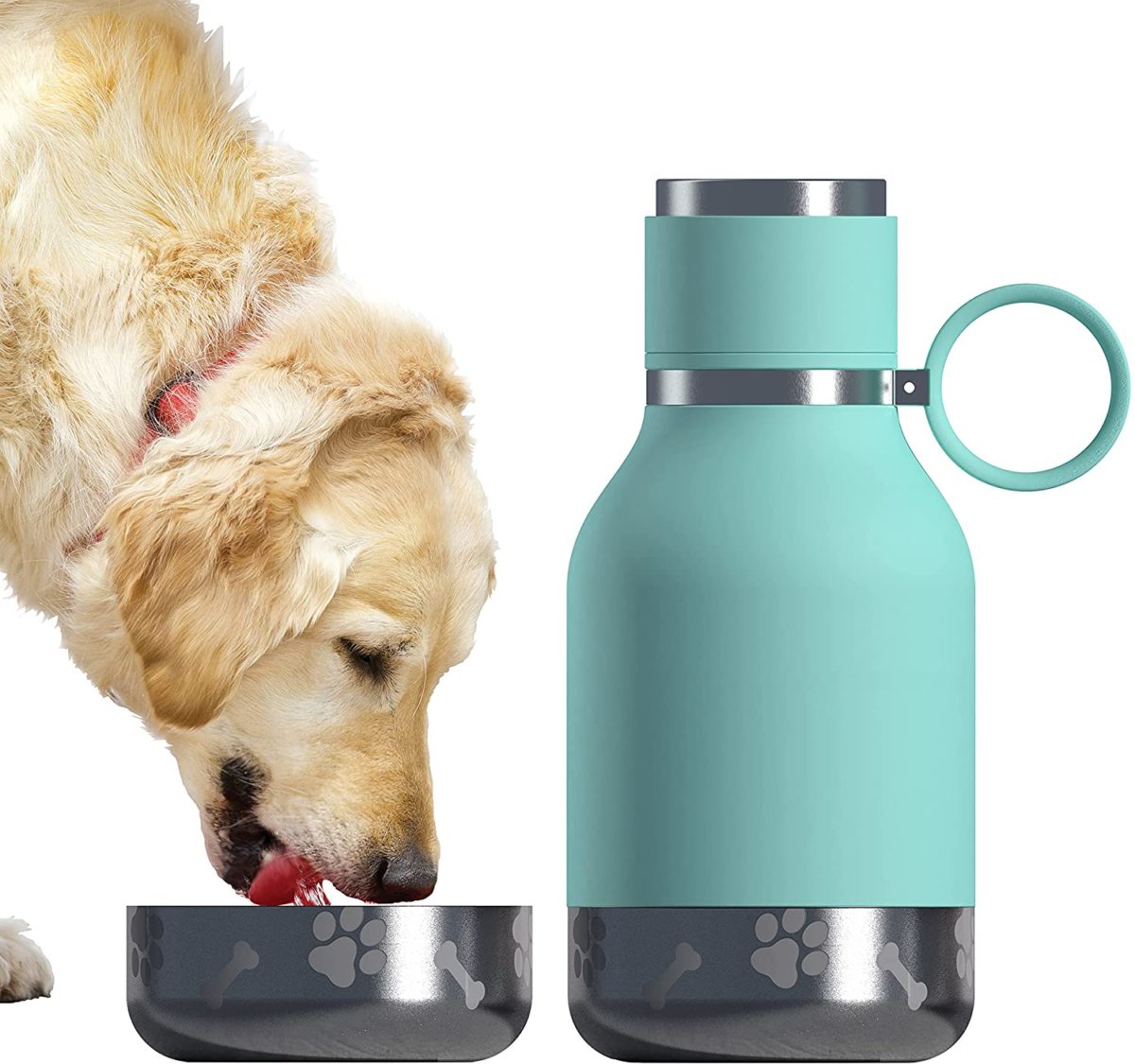 10 Best Dog Water Bottle Options