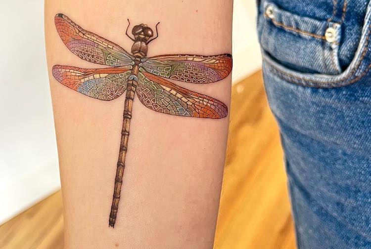 Dragonfly Wing Bug Insect Nature Summer Wi - Libellenflügel Tattoo - Free  Transparent PNG Download - PNGkey
