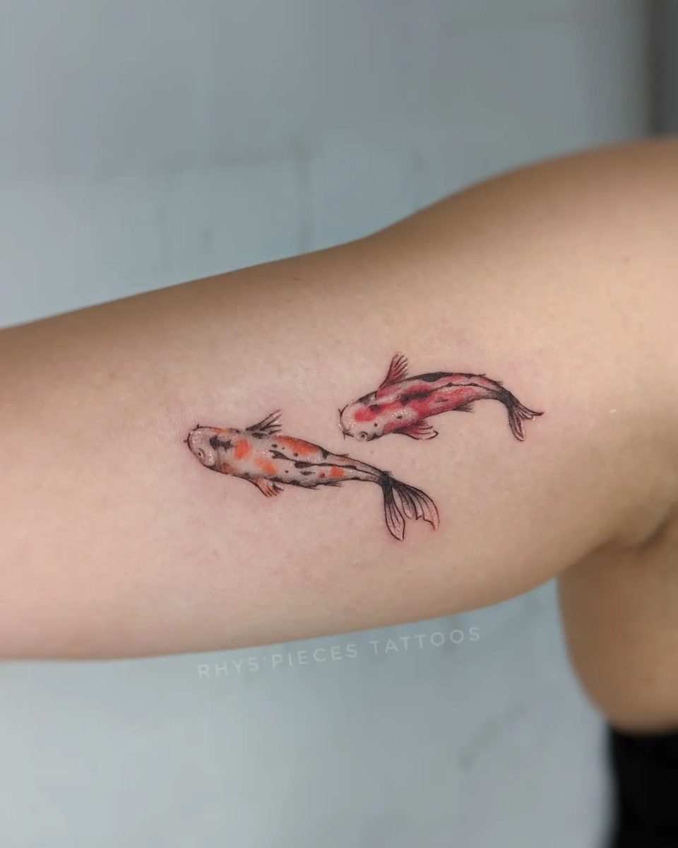 21+ Small Koi Fish Tattoo Designs 2023