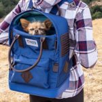 10 Durable and Practical Dog Backpacks for Adventures