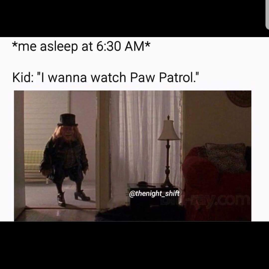 Paw Patrol Memes