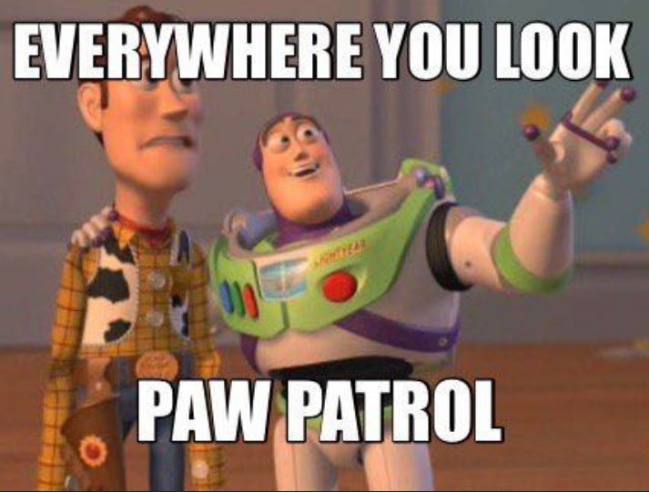 paw patrol memes