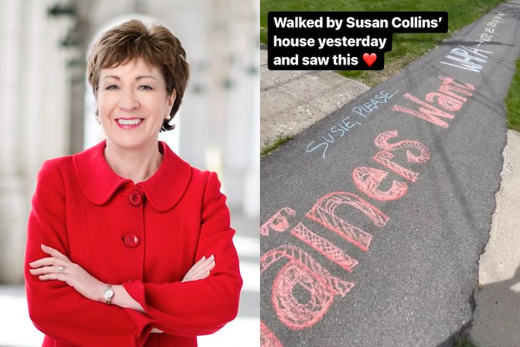 susan collins reported 'defacement of property'