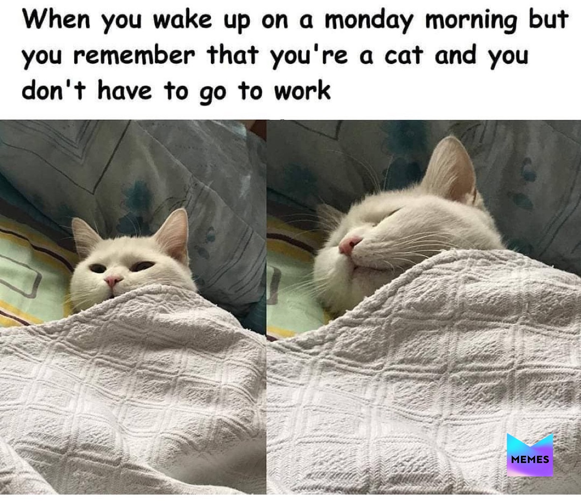 25 monday memes that remind us how much we love the weekend