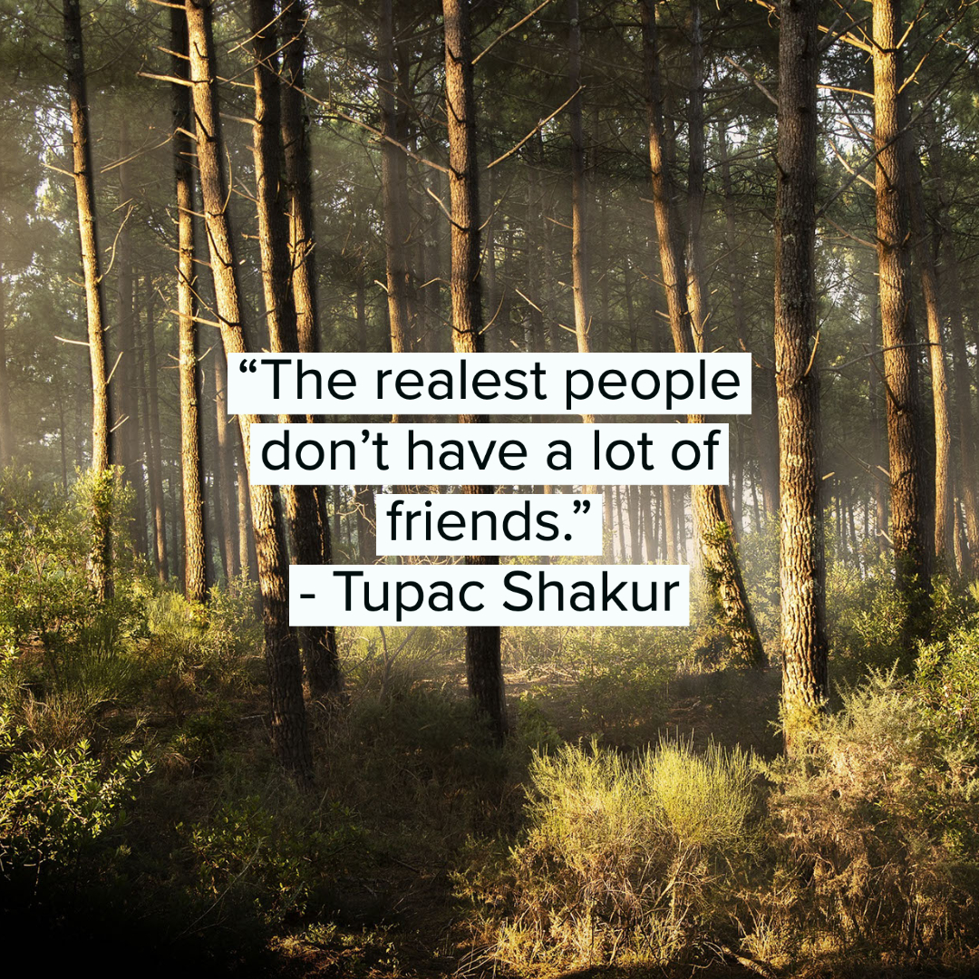 35 Fake People Quotes 