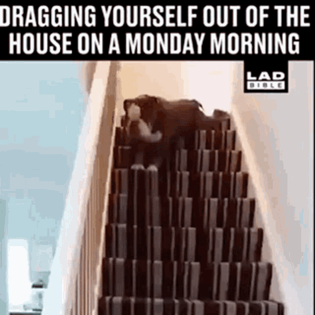 25 Monday Memes That Remind Us How Much We Love the Weekend