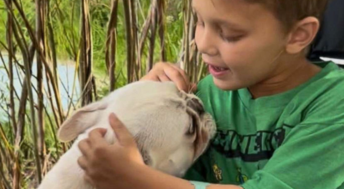 8-year-old boy paralyzed in highland park shooting reunited with his dog