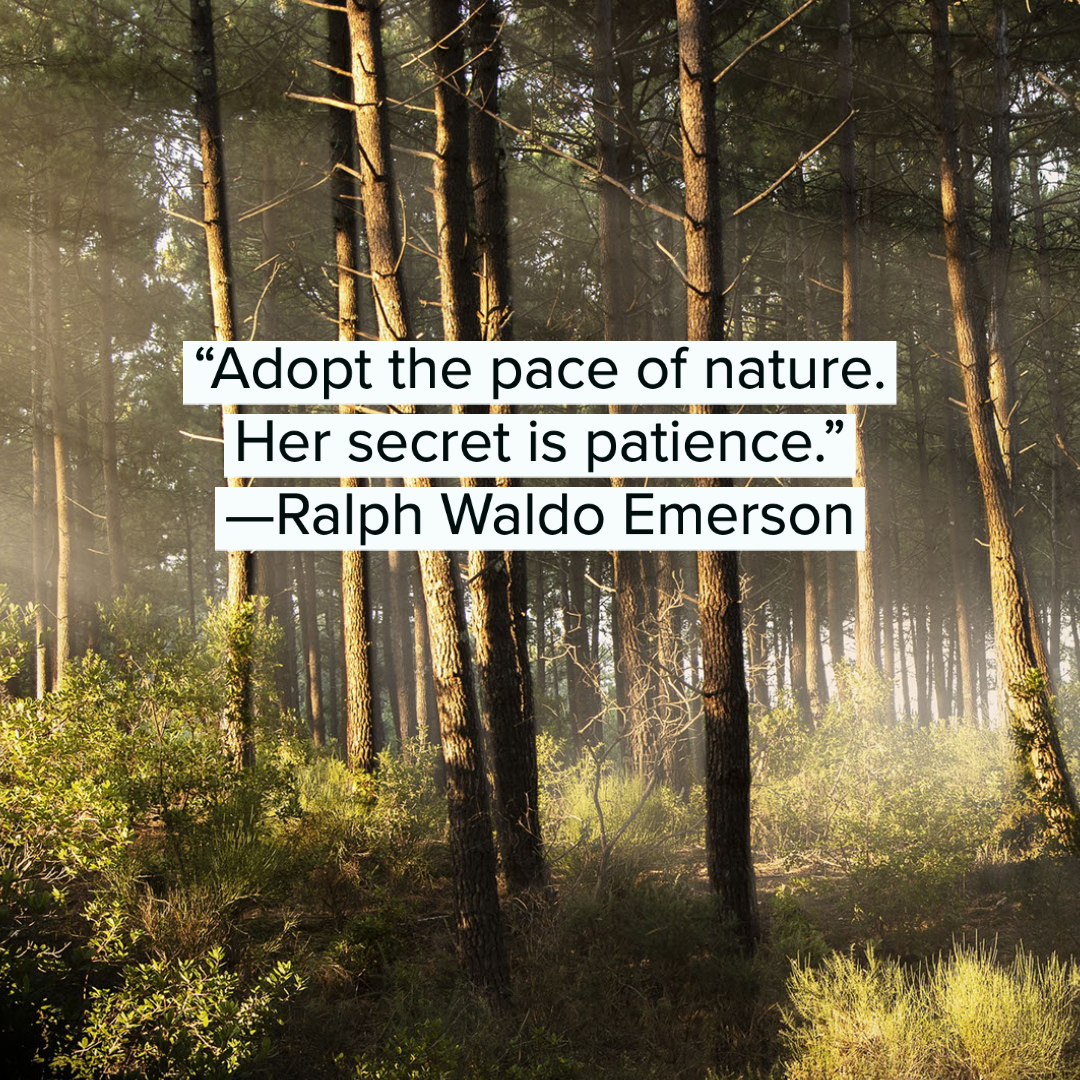 Nature Quotes 