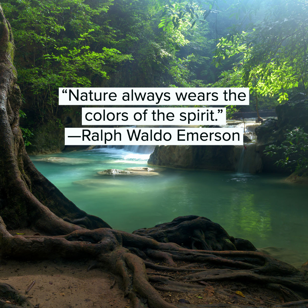 nature quotes 