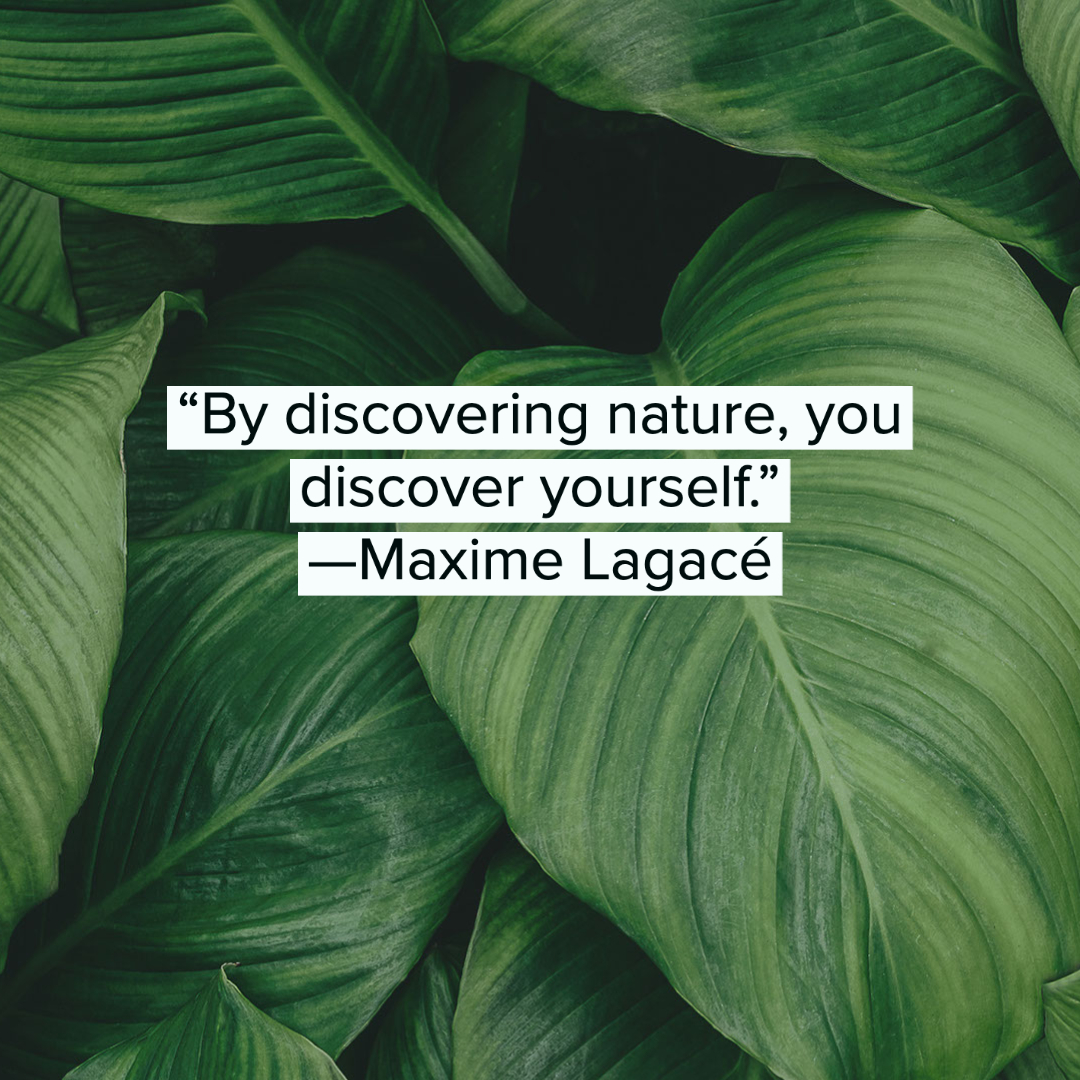 Nature Quotes 