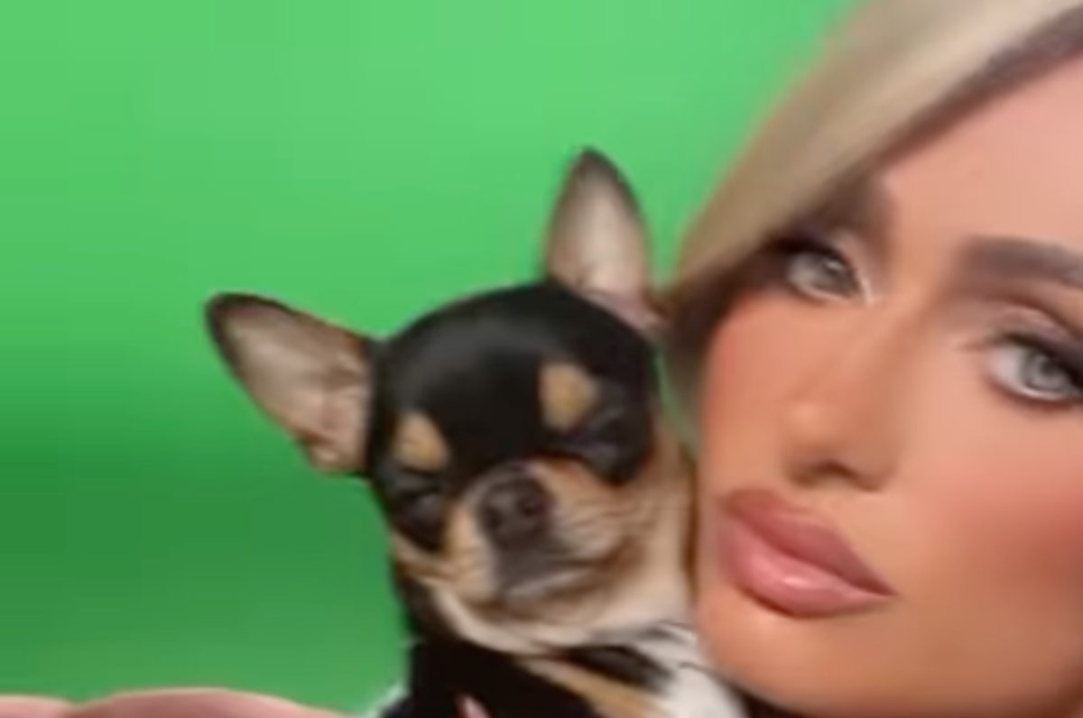 Paris Hilton Heartbroken Over Her Lost Dog 'Diamond Baby'