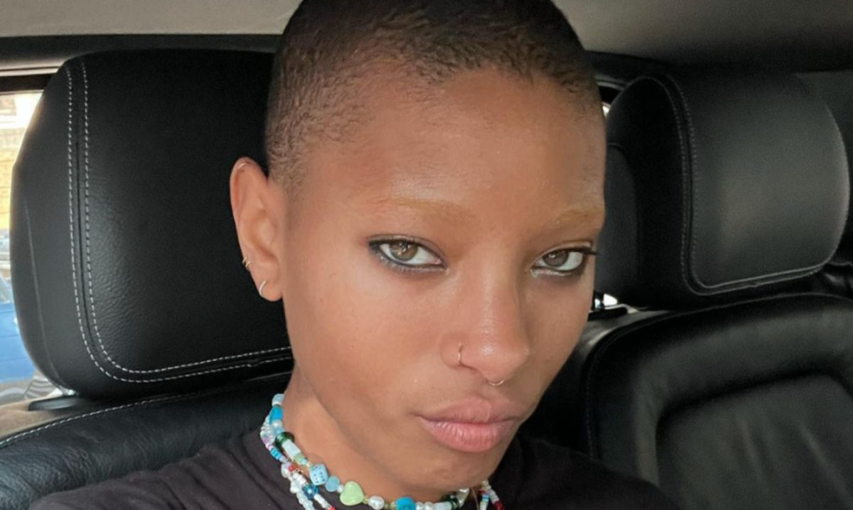 Willow Smith Reflects On The Evolution Of Her Hair