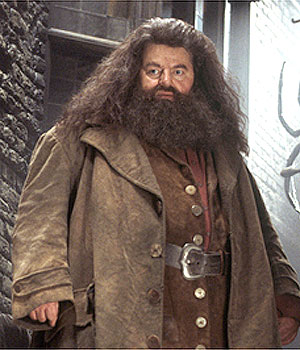 We Are Heartbroken Over the News About Robbie Coltrane, Better Known as the Beloved Hagrid of the Harry Potter Films | We Are Heartbroken Over the News About Robbie Coltrane, Better Known as the Beloved Hagrid of the Harry Potter Films.