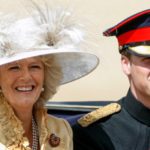 The Stern Rule Prince William Reportedly Set in Place for Queen Camilla When It Comes to His Kids
