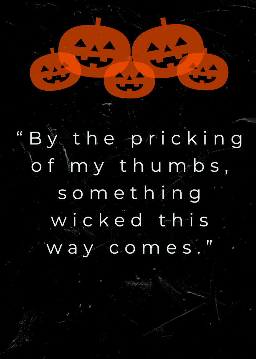 31 Magical Witch Quotes for Halloween That Will Cast a Spell On You | Are you trying to get into the Halloween spirit? The holiday would be nothing without magic so check out these wonderful witch quotes.