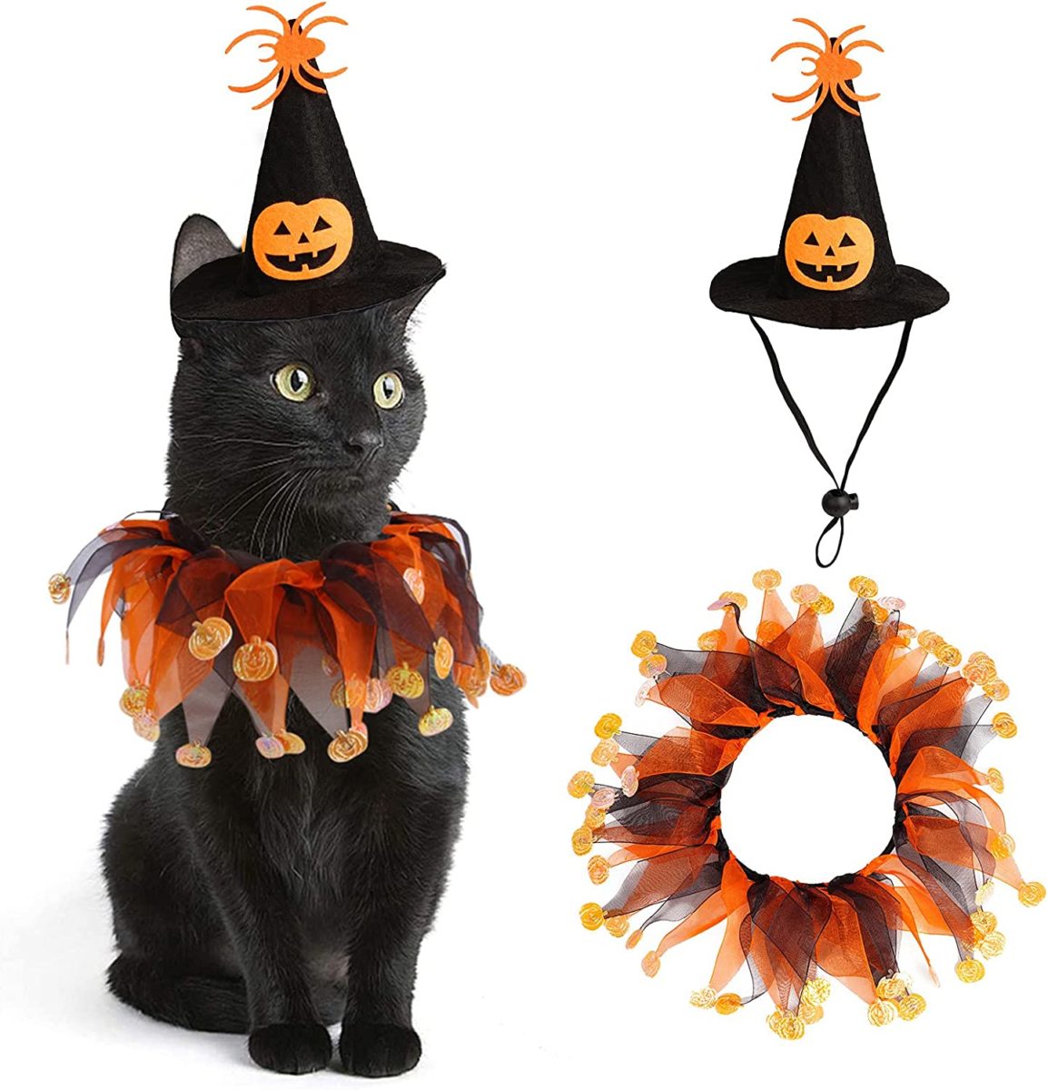 Pet Halloween Costumes