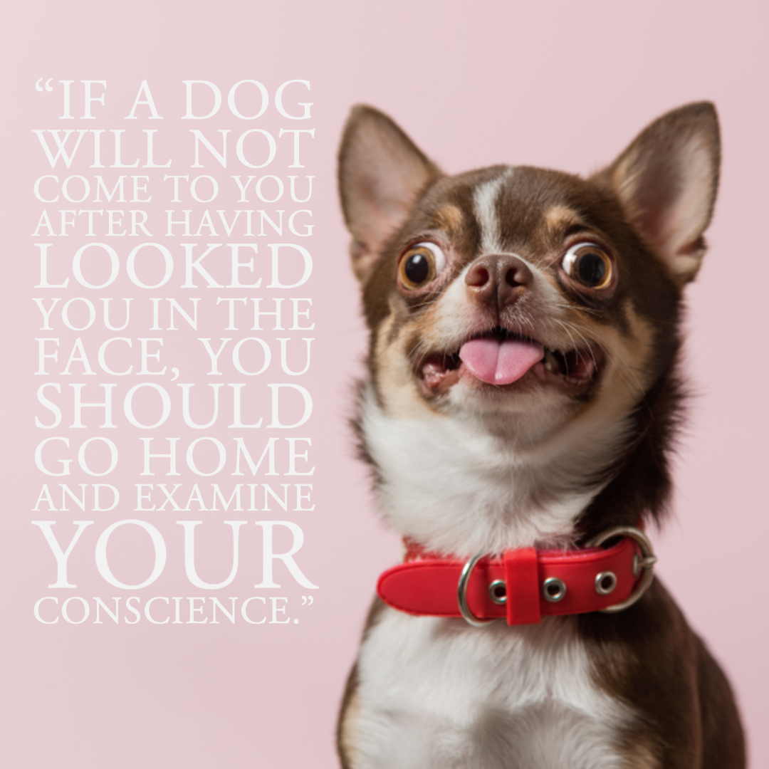 Quotes About Dogs