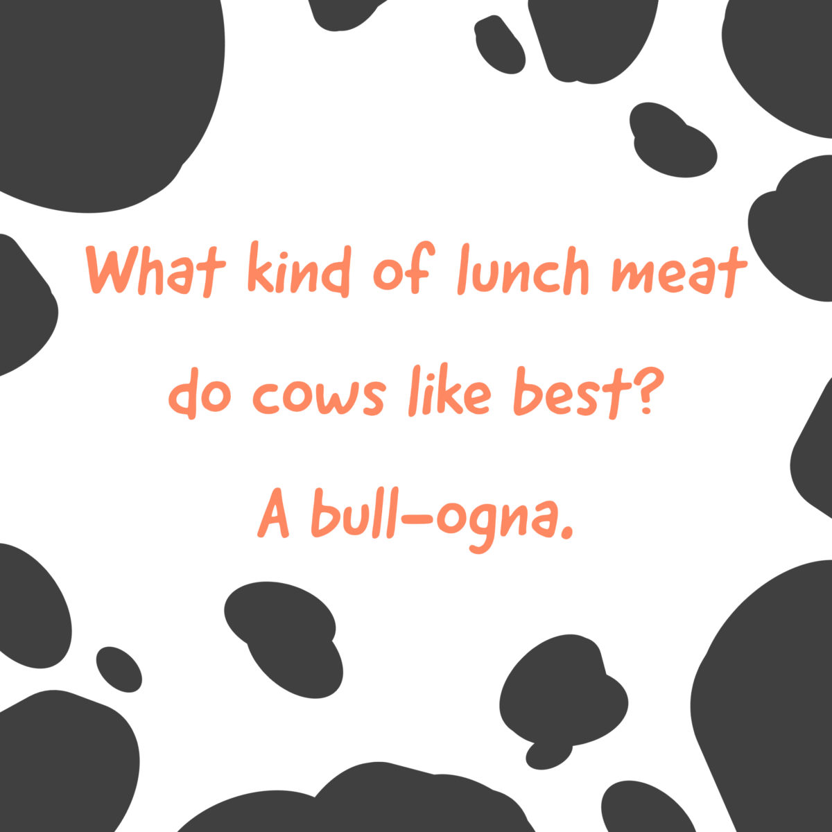cow jokes