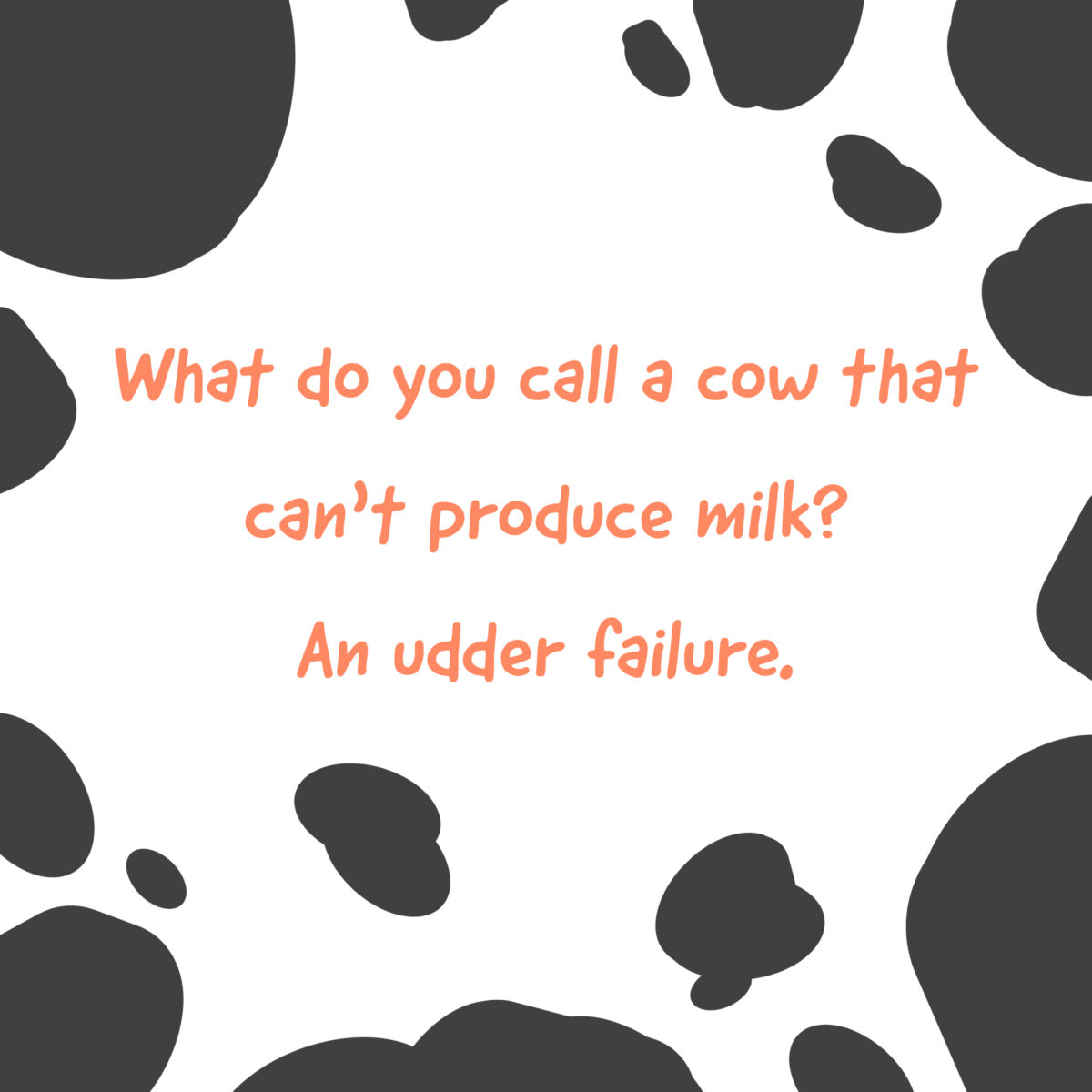 cow jokes