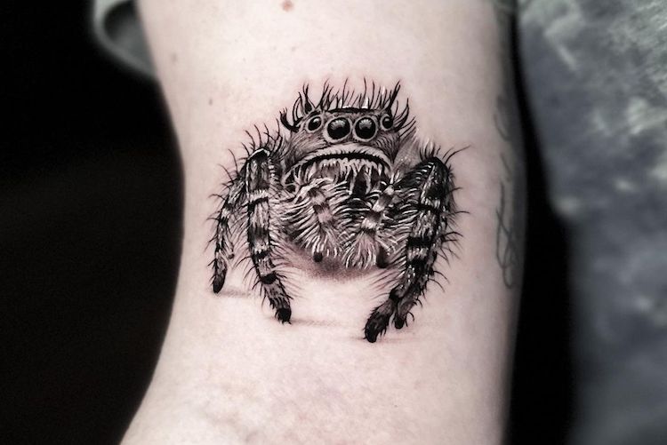 Traditional Tiger & Spider by Stephen Byrne @ Rambo's Manchester UK : r/ tattoos