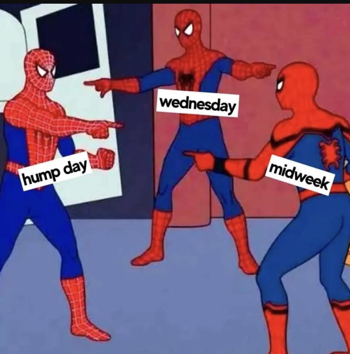 Wednesday Memes