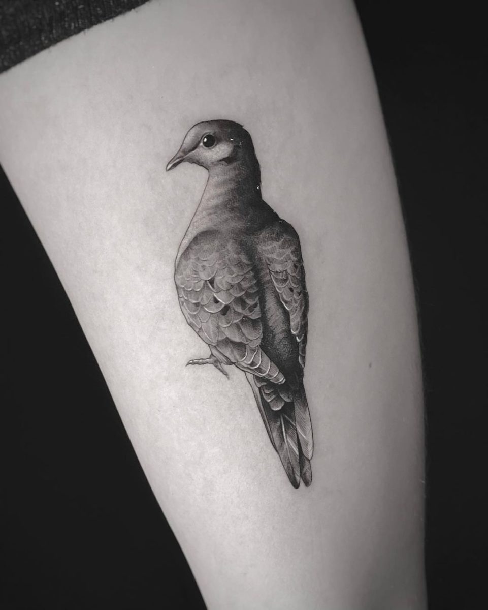 ZZEBRA SYA013: 2018 NEW 300 Models Temporary Tattoo Tatoo For Man Weman  Waterproof Stickers makeup make up The pigeon of peace tattoo wm072 :  Amazon.in: Beauty