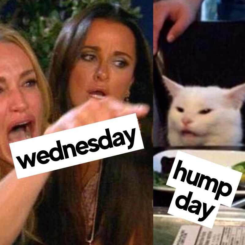 Wednesday Memes