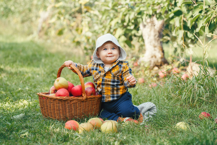 Baby Names That Mean Harvest