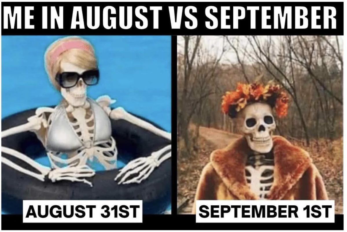 Fall Memes