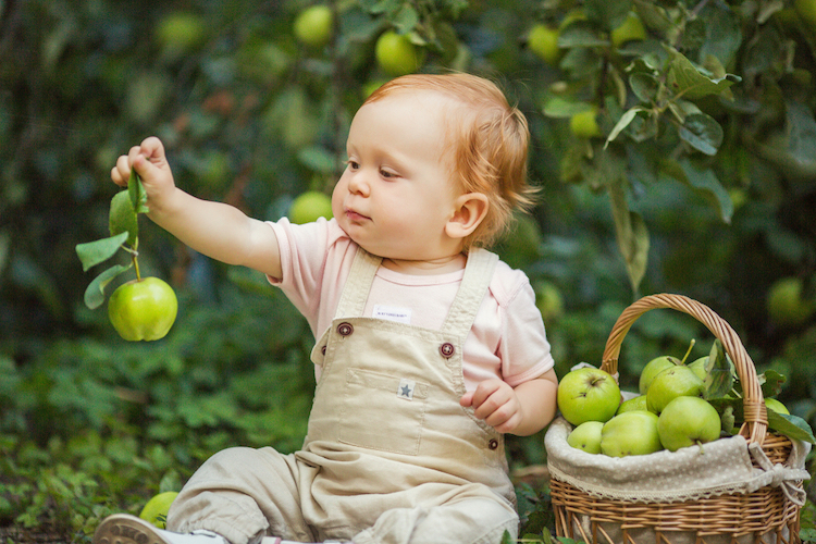 Baby Names for Apple Picking Season 