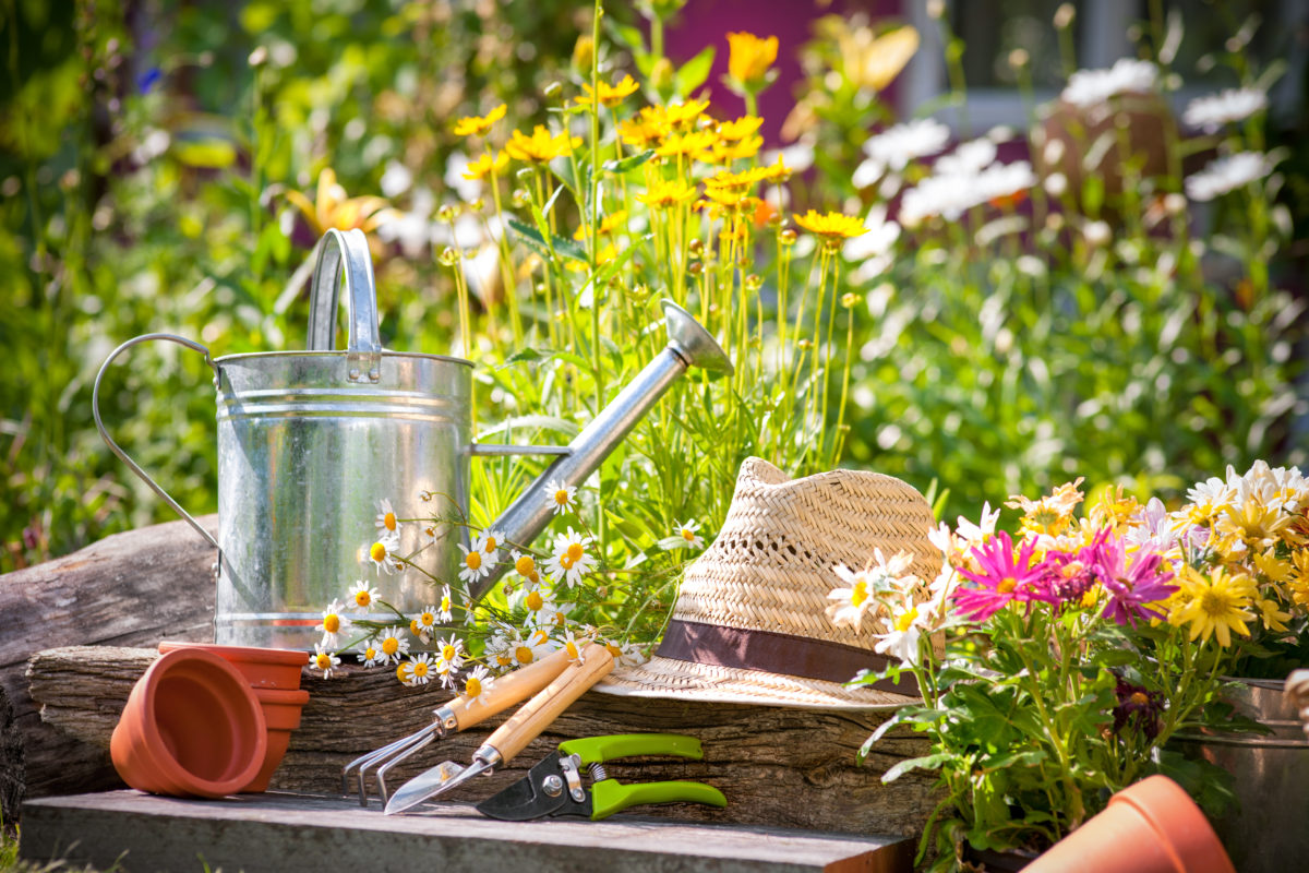 Things You Should Know Before Starting a Garden | As a token of our appreciation for the gardening community, we're sharing some of our best tips for beginners who are starting a garden for the first time.