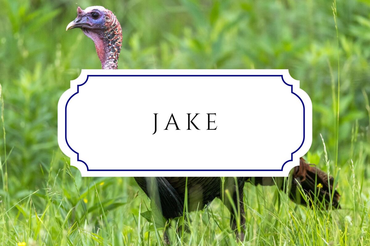 thanksgiving names jake