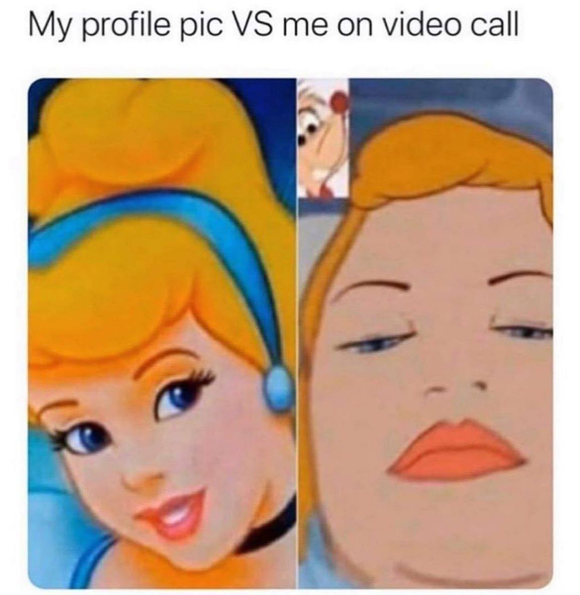 more hilarious parenting memes to help you survive summer quarantine: 'my profile pic vs me on a video call'