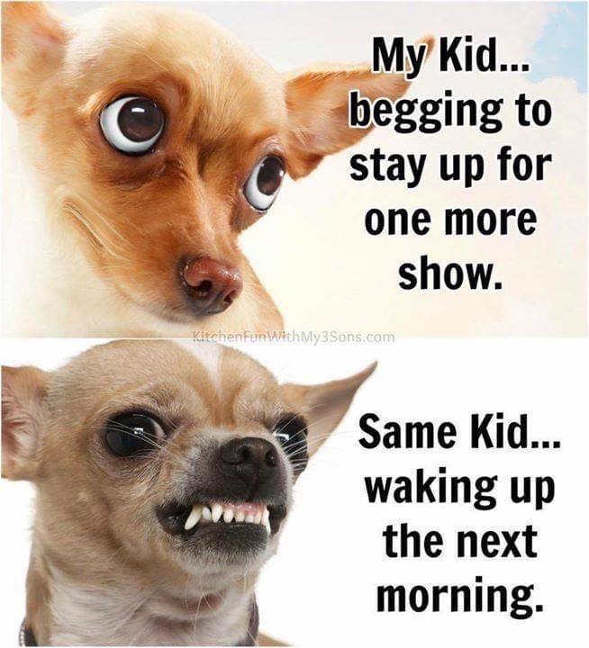 More Hilarious Parenting Memes to Help You Survive Summer Quarantine: 'My Profile Pic vs Me on a Video Call'